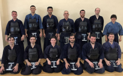 V Curso de Rendimiento y Kendo 2017